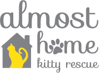 Almost Home Kitty Rescue
